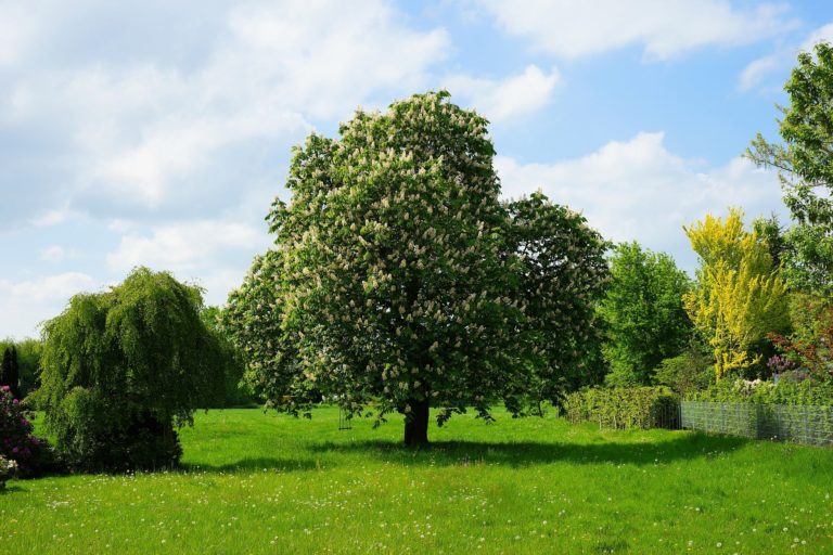 Grundstücke in Hannover und Braunschweig